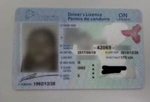 Canadian Drivers License 