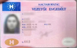 Hungarian Drivers License
