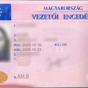 Hungarian Drivers License